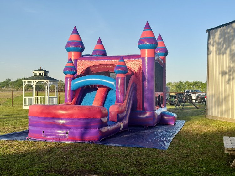 Purple Posh Castle Bounce and Slide