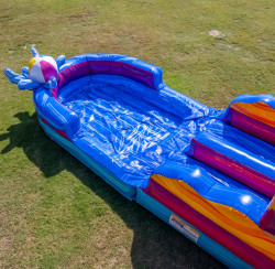 IMG 9118 1732650071 COMING SOON April 2025 - Summer Time 20 FT Dual Lane Slide