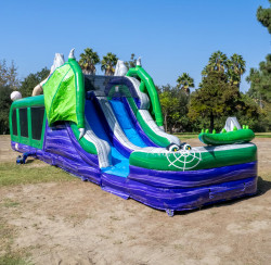 IMG 9129 1732651151 COMING SOON April 2025 - Dragon's Lair Obstacle and Slide